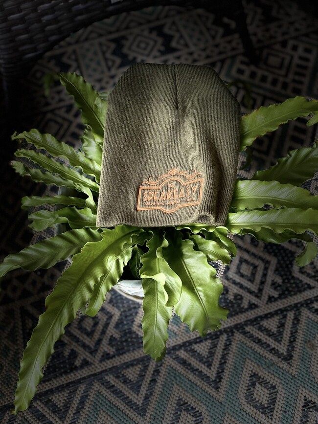 Beanie Hat