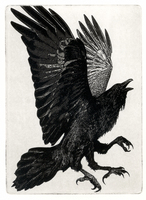 Vienneau- The Three Legged Birds- Sanzuwu, Yatagarasu and Samjok-O