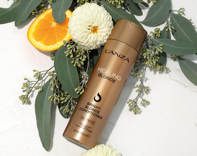 Blonde Bright Conditioner