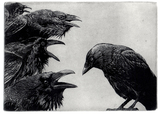 Vienneau- The Jackdaw and The Ravens