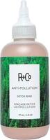 Anti-Pollution Detox Wash