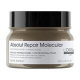 Absolut Repair Molecular Mask