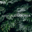 Salon Alexandria North