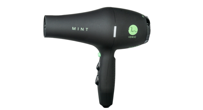 MINT Black Bird Ionic Dryer