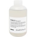 Volu Shampoo