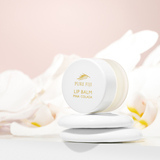 Pina Colada Lip Balm