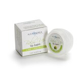 AP BALM UP lip balm
