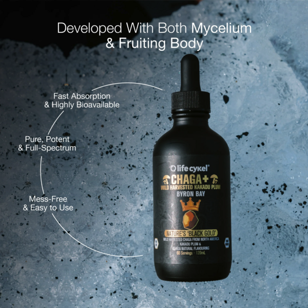 Chaga + Mushroom Extract (120ml)