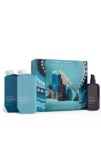 Christmas Pack Repair