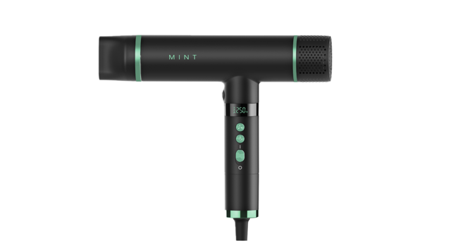 MINT Hummingbird Blow Dryer