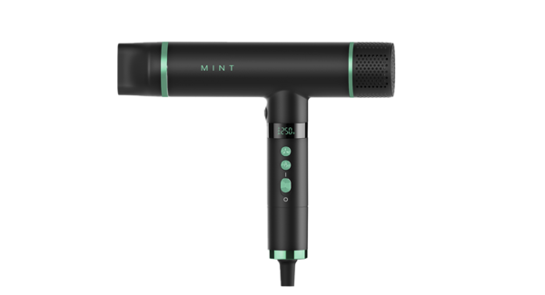 MINT Hummingbird Blow Dryer