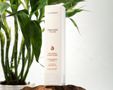 Thickening Conditioner