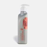 DAILY BALANCE CONDITIONER