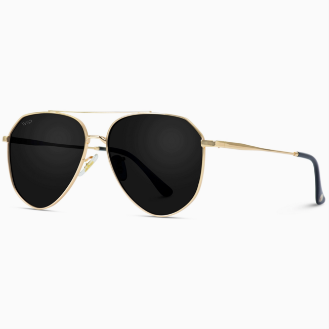 WMP Eyewear | Ramsey Geometric Polarized Aviators Gold/Blk