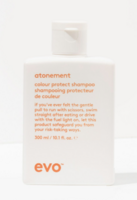 Atonement Colour Protect Shampoo