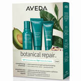 Botanical Repair Strengthening Essentials