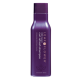 CBD Instant Curl Refresh Shampoo